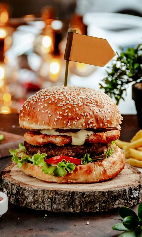 menu-burger-img2-ss