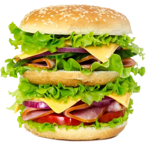 menu-burger-img3
